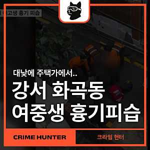강서 화곡동 여고생 흉기 피습, 가해자는 또래 지인이라고?