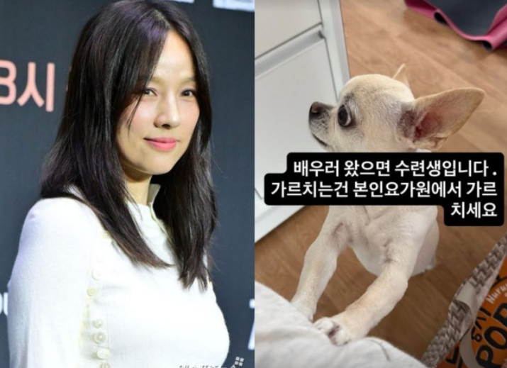 이효리 요가원 이용 수칙 경고, 무단 방문·수업 중 지도 행위에 단호한 일침
