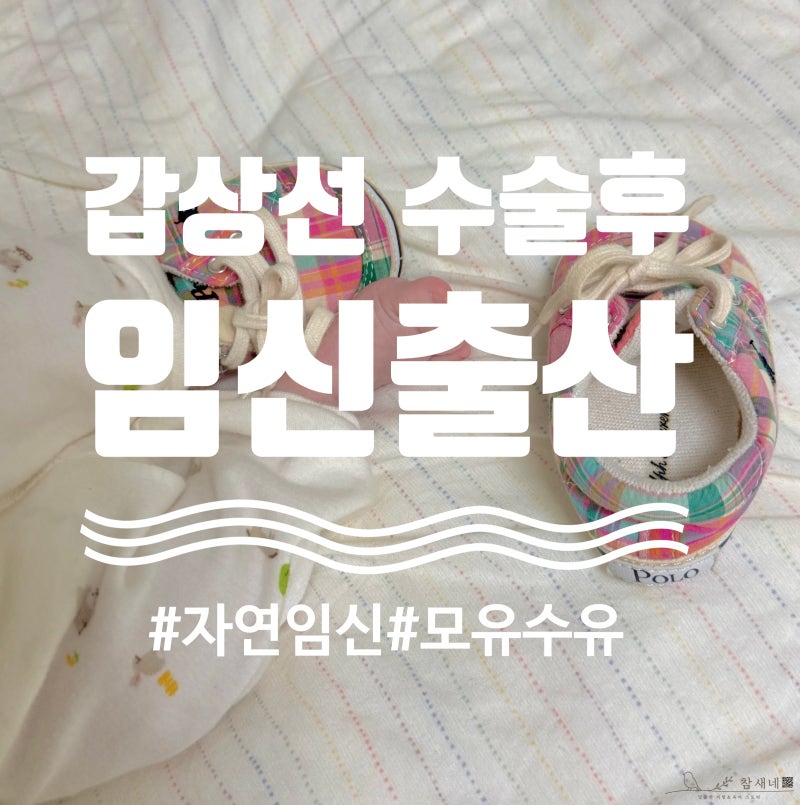갑상선암 수술 후에도 임신 괜찮을까? 실제 자연 임신 출산 후기 공유