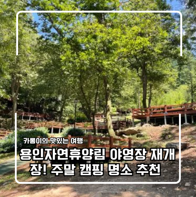 용인자연휴양림 야영장