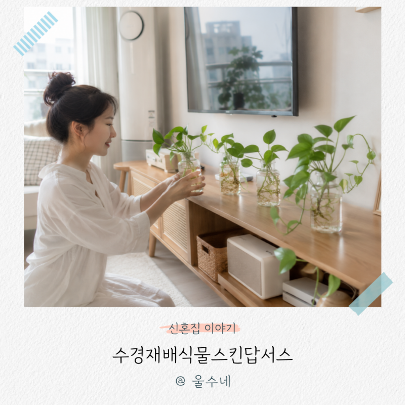 거실 인테리어가 아쉽다면, 스킨답서스 수경재배식물 어때요?