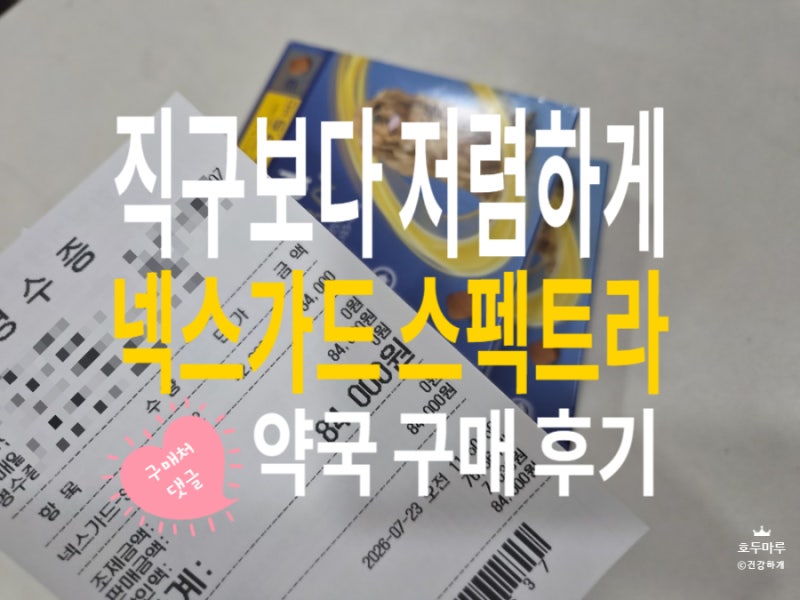 넥스가드 스펙트라 가격, 직구 대신 4만원대로 구매한 후기