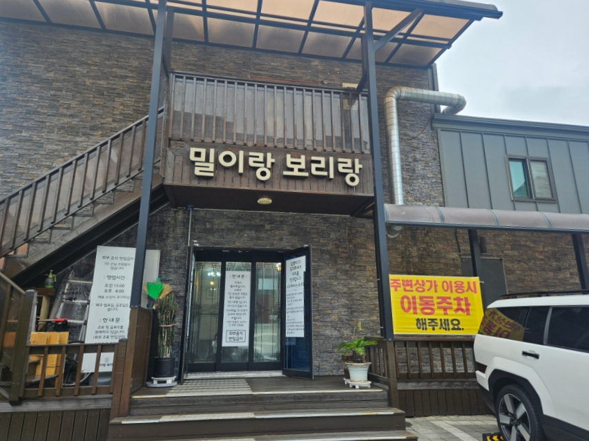 콩 사진 1