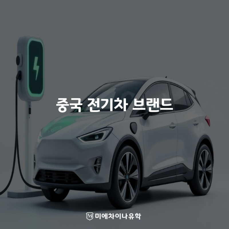 BYD·샤오미·니오·샤오펑·지리, 2026년 주목해야 할 중국 전기차 브랜드