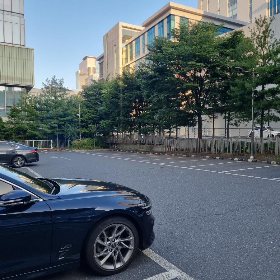 제주둘레국수 오류점 사진 2