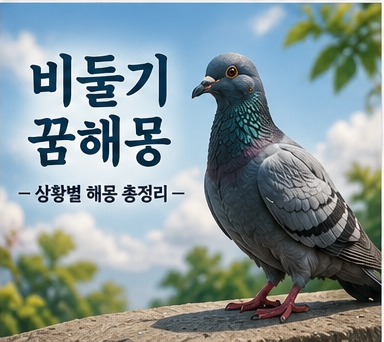 비둘기 꿈해몽 총정리｜흰 비둘기와 비둘기 떼 꿈