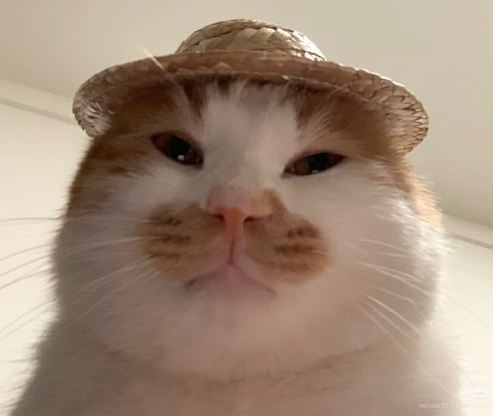 마이애미정선호텔 사진 1