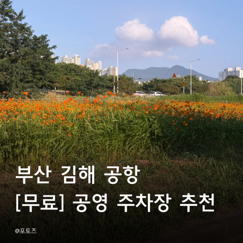 부산 김해공항 근처 [무료 공영 주차장] 추천, 삼락생태공원, 괘법르네시떼