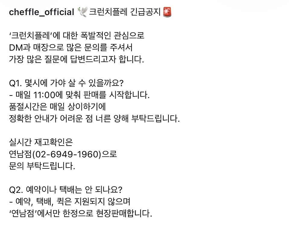 치플레 사진 4