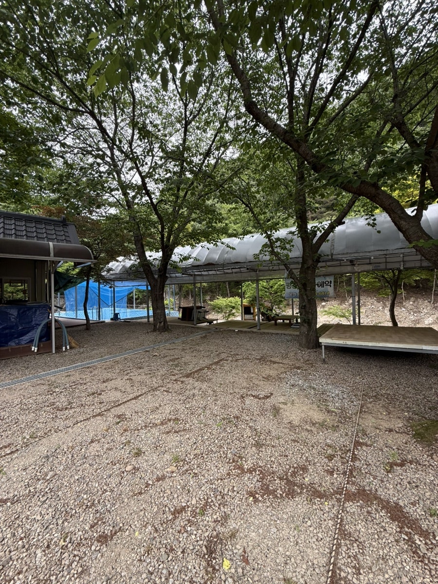 용현계곡 사진 6
