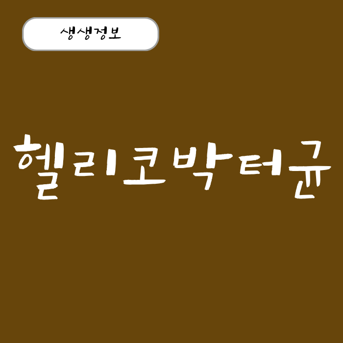 헬리코박터균 원인과 증상 전염, 검사 방법, 치료 약 총정리