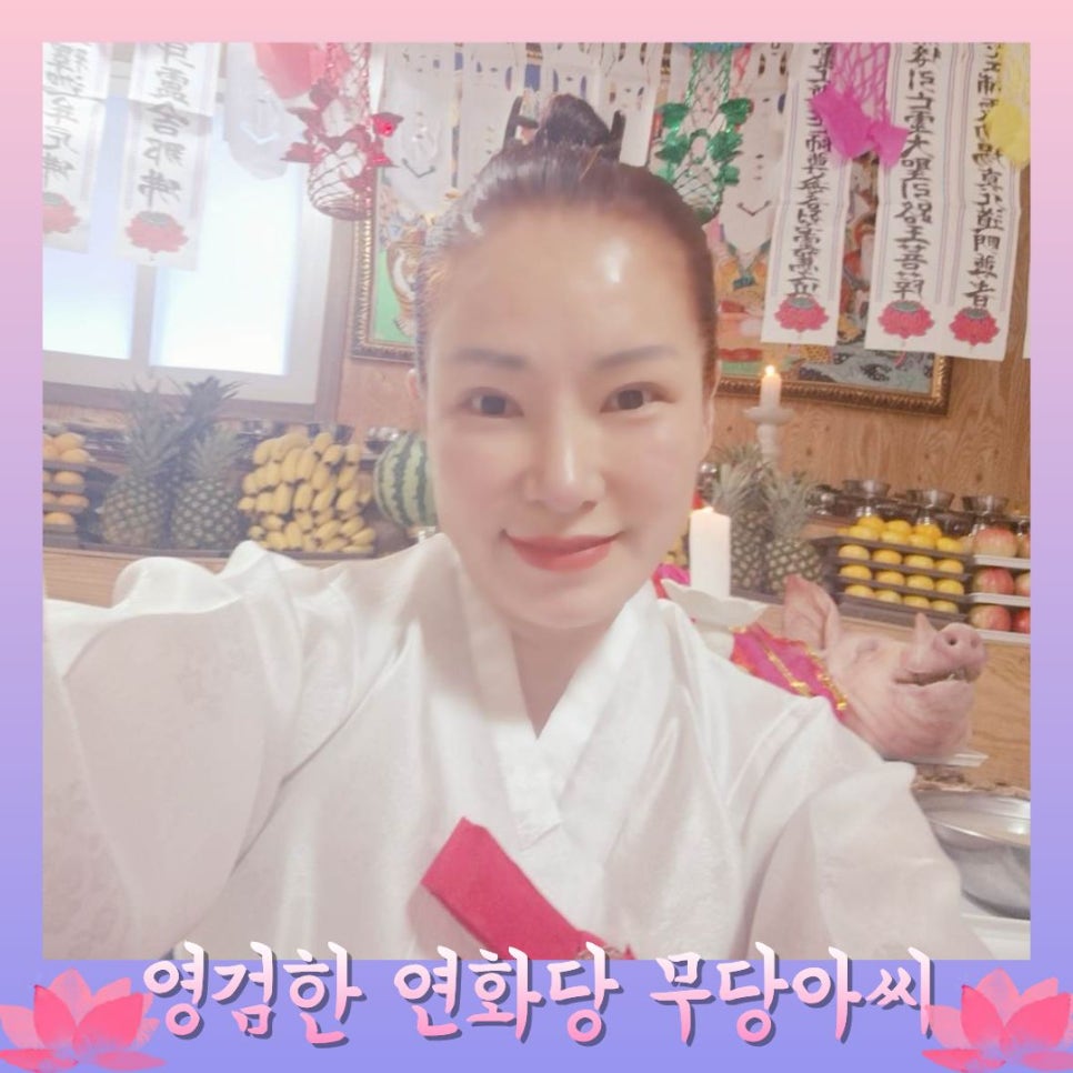 연화 사진 2