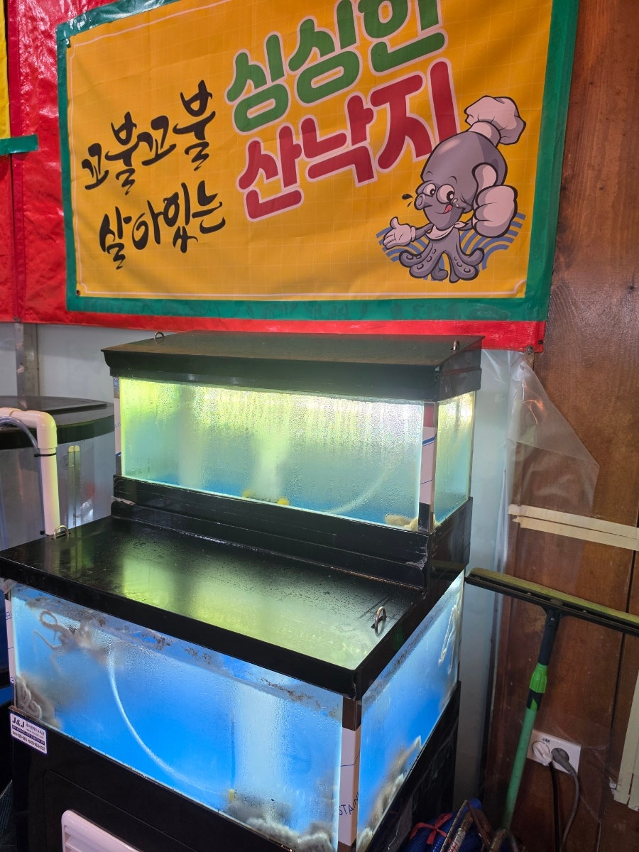 광장포차시골집 사진 4