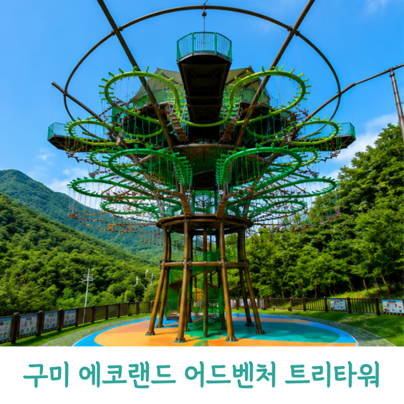 구미 에코랜드 어드벤처 트리타워 아이와 무료 체험 후기｜예약·이용방법·번지점프