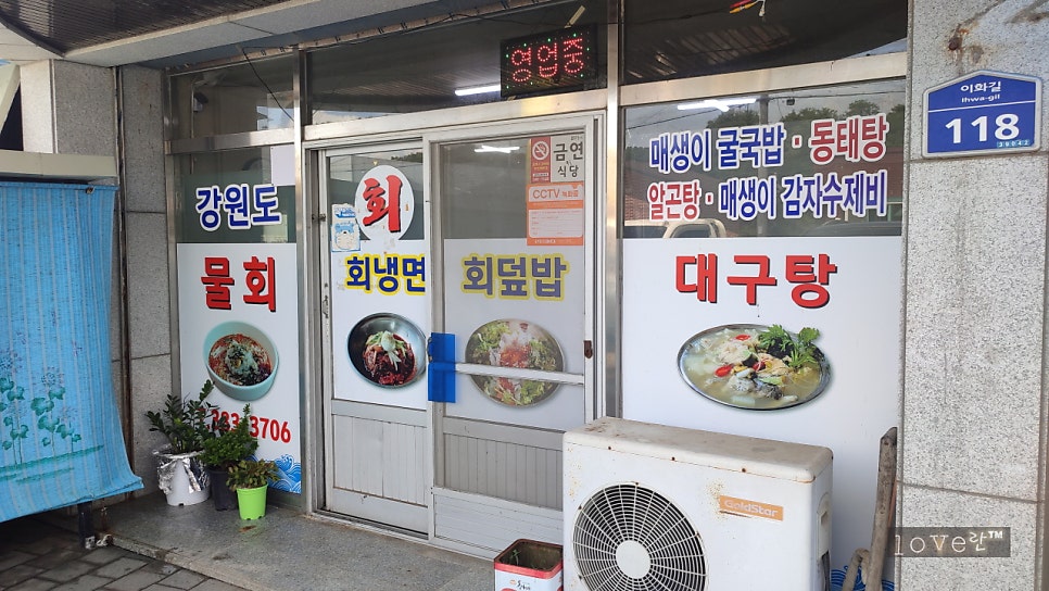 강원도물회 사진 2