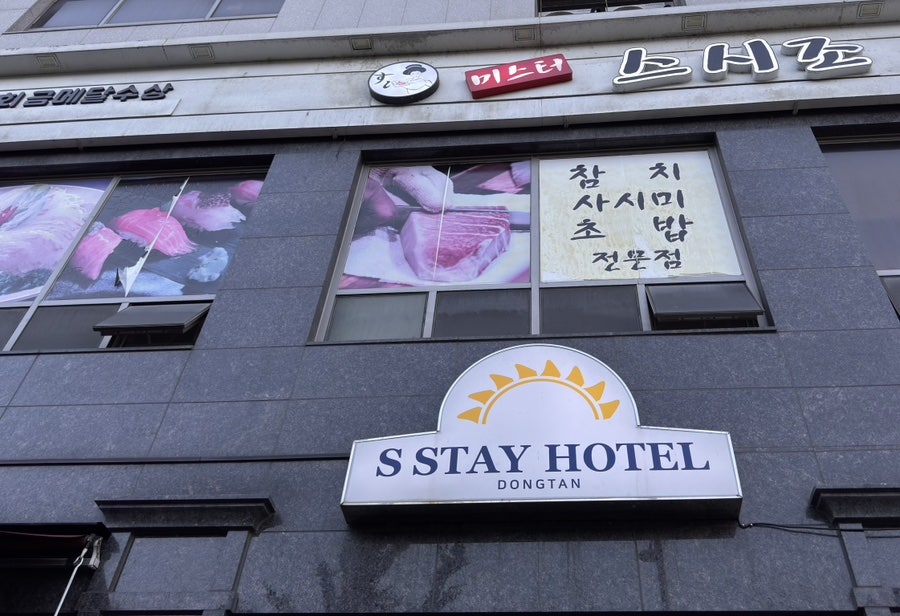 미스터스시조 사진 1
