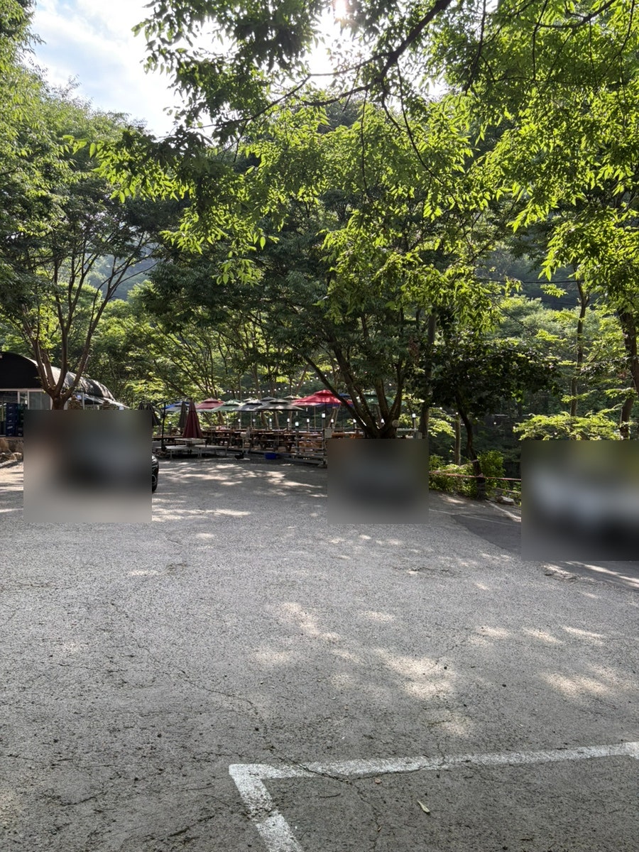 감나무집 사진 6