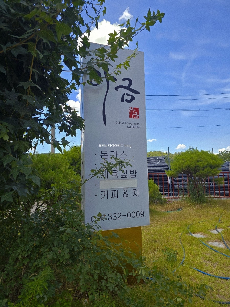 다금 사진 3