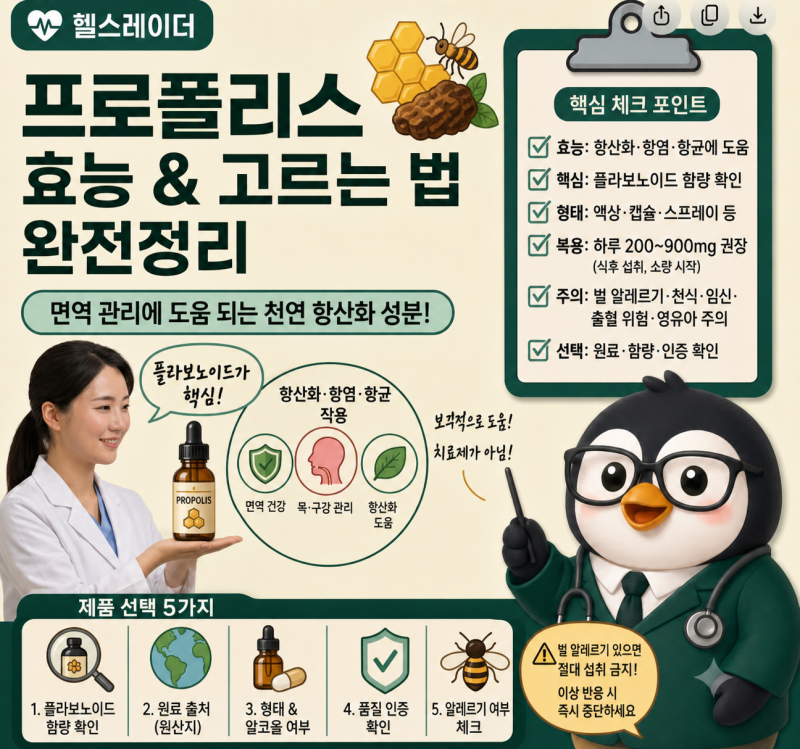 프로폴리스 효능과 고르는 법 총정리 (플라보노이드·면역·복용법·주의사항)