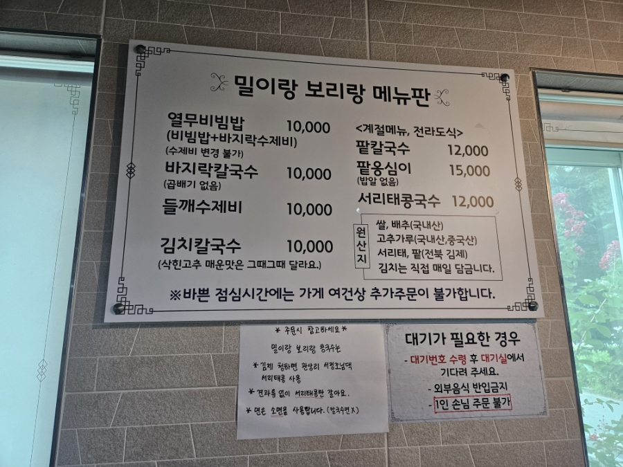 콩 사진 5