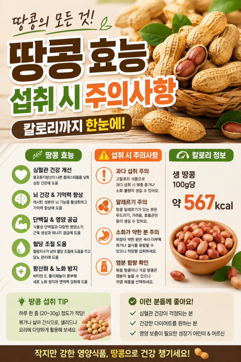 땅콩효능 ,제철 ,섭취시 주의사항