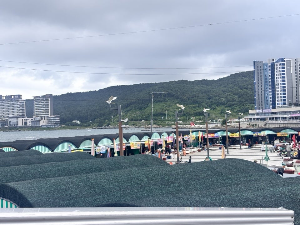 0번정해집 사진 3