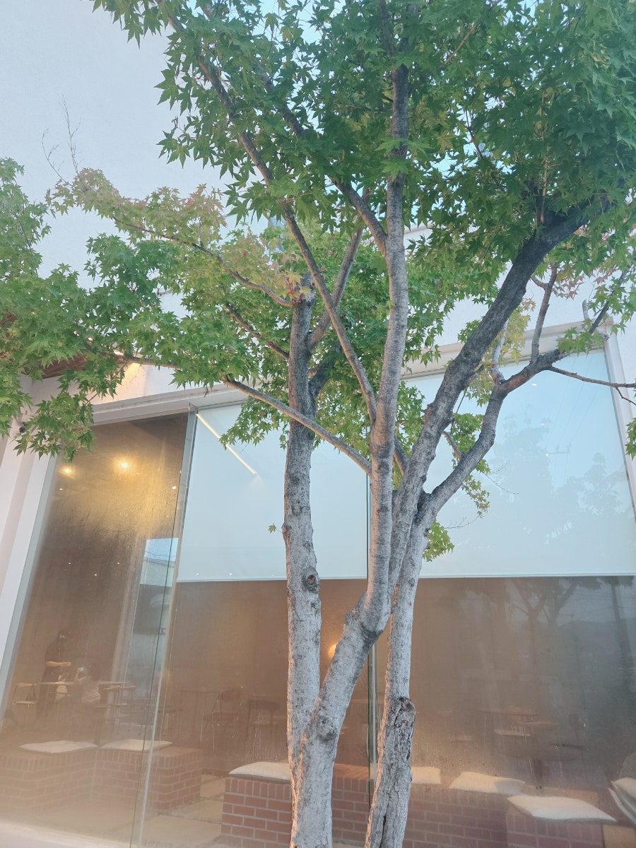 공간지지 사진 3