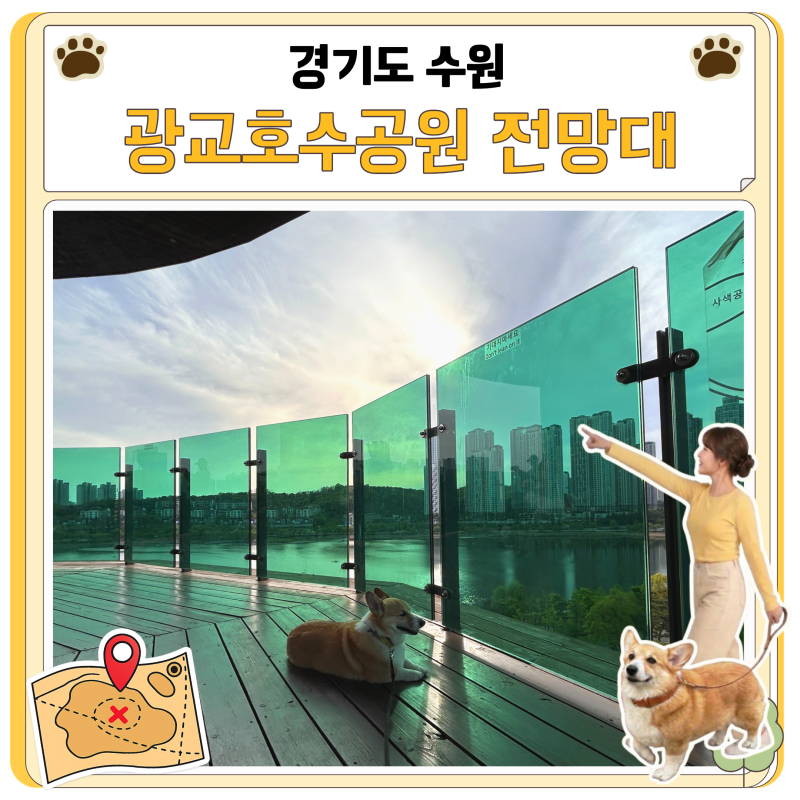 광교호수공원 전망대 주차장 카페 애견동반 정보