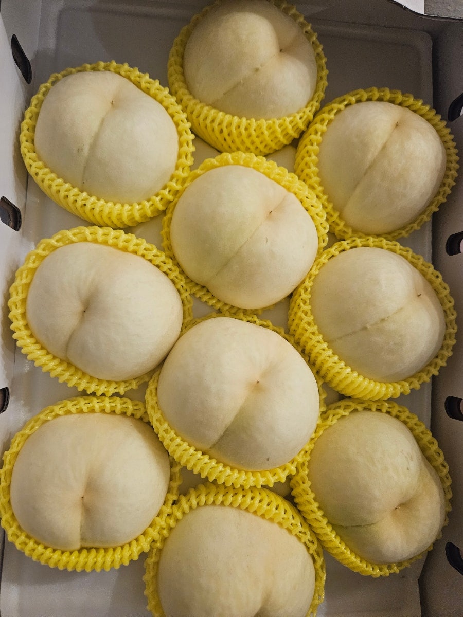 젓가락질잘해야만밥을먹나요 사진 2