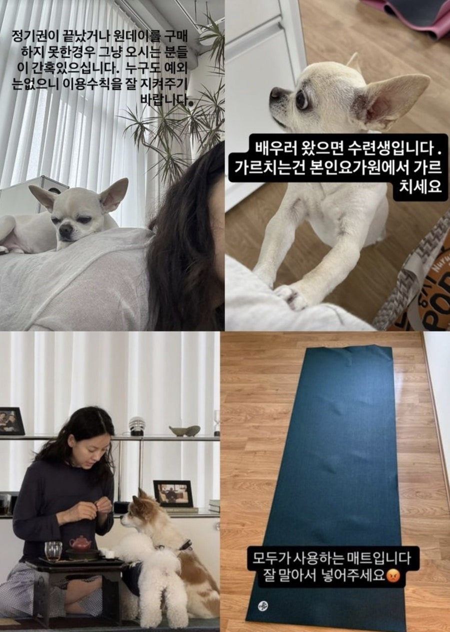 유 사진 3