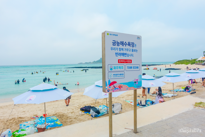 제주도 서쪽 가볼만한곳 금능해수욕장 주차 샤워 파라솔 숙소
