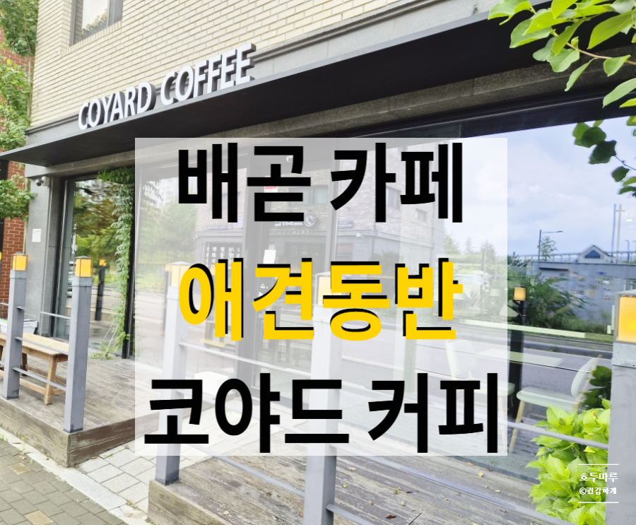 코야드커피 사진 1