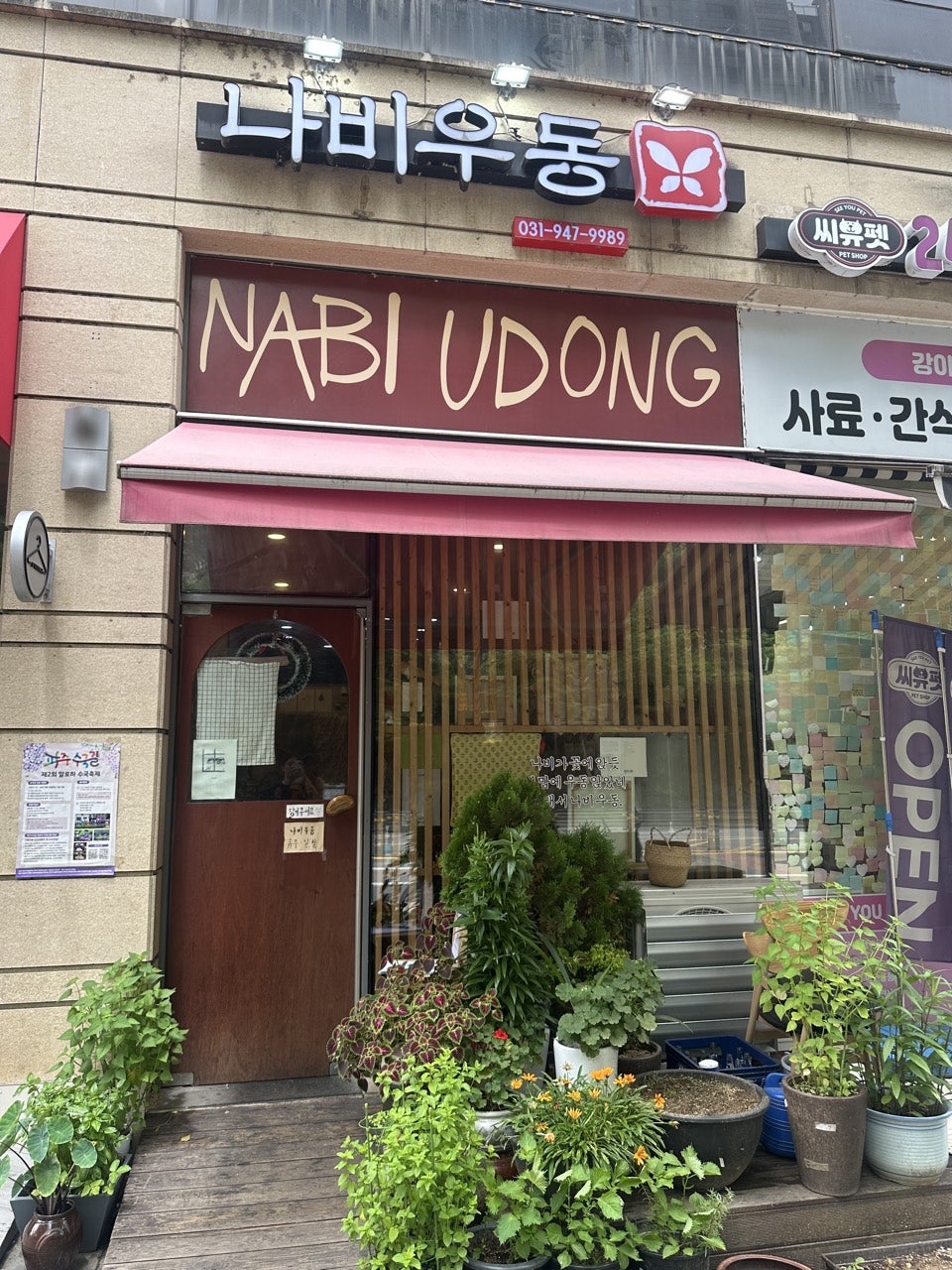 나비우동 사진 1