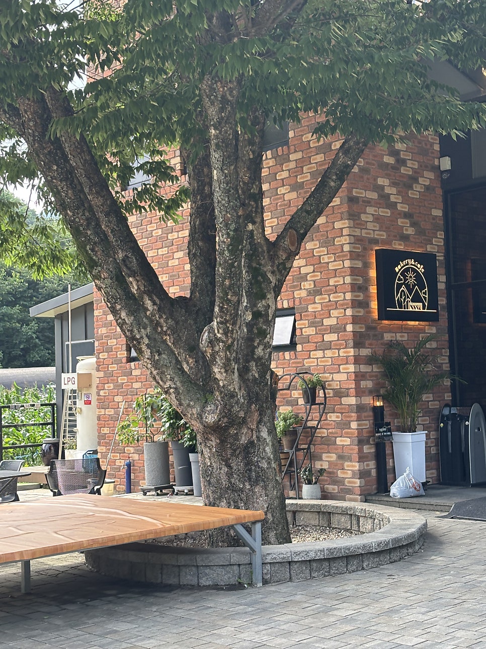 젤코바 사진 1