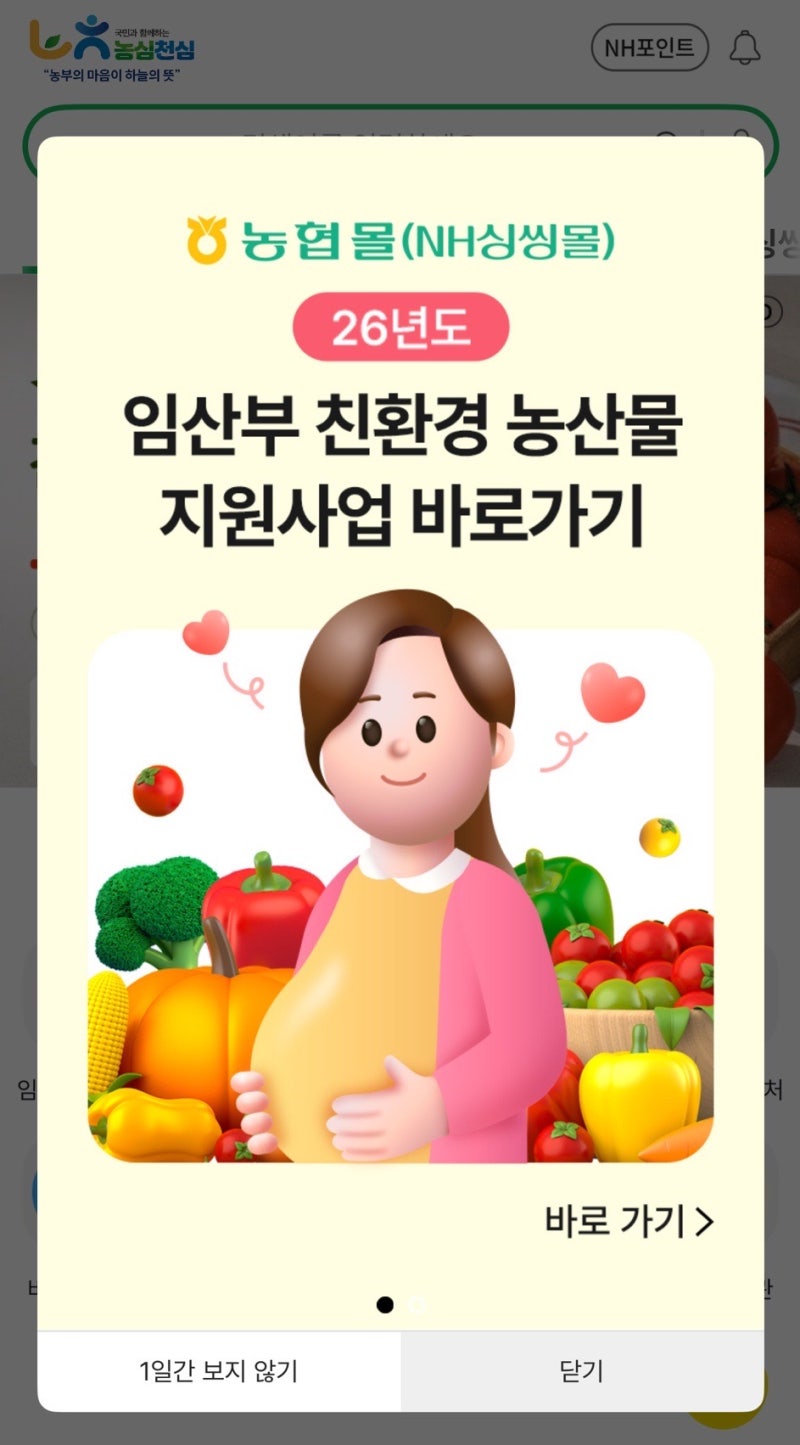 대구 임산부 혜택 에코이몰 친환경 농산물 지원사업 당첨 후기