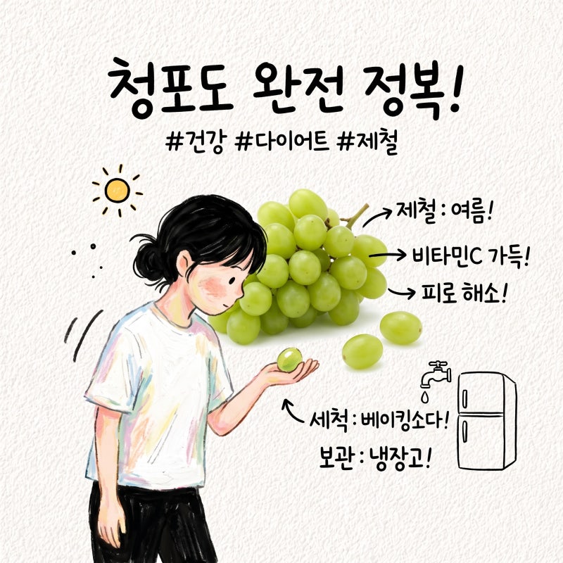 청포도 효능 칼로리 제철 세척 보관 당도 껍질 씨 냉동 샤인머스캣차이