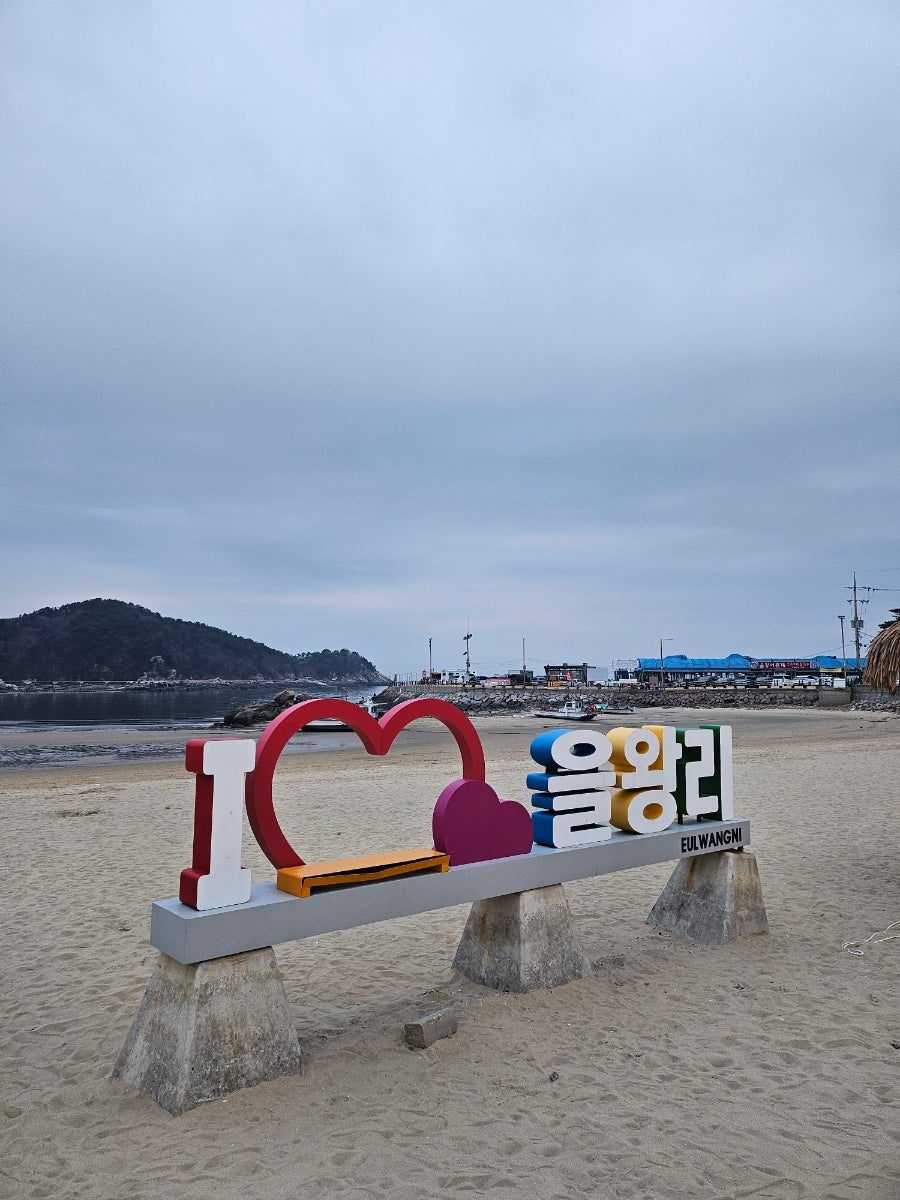 청솔 사진 6
