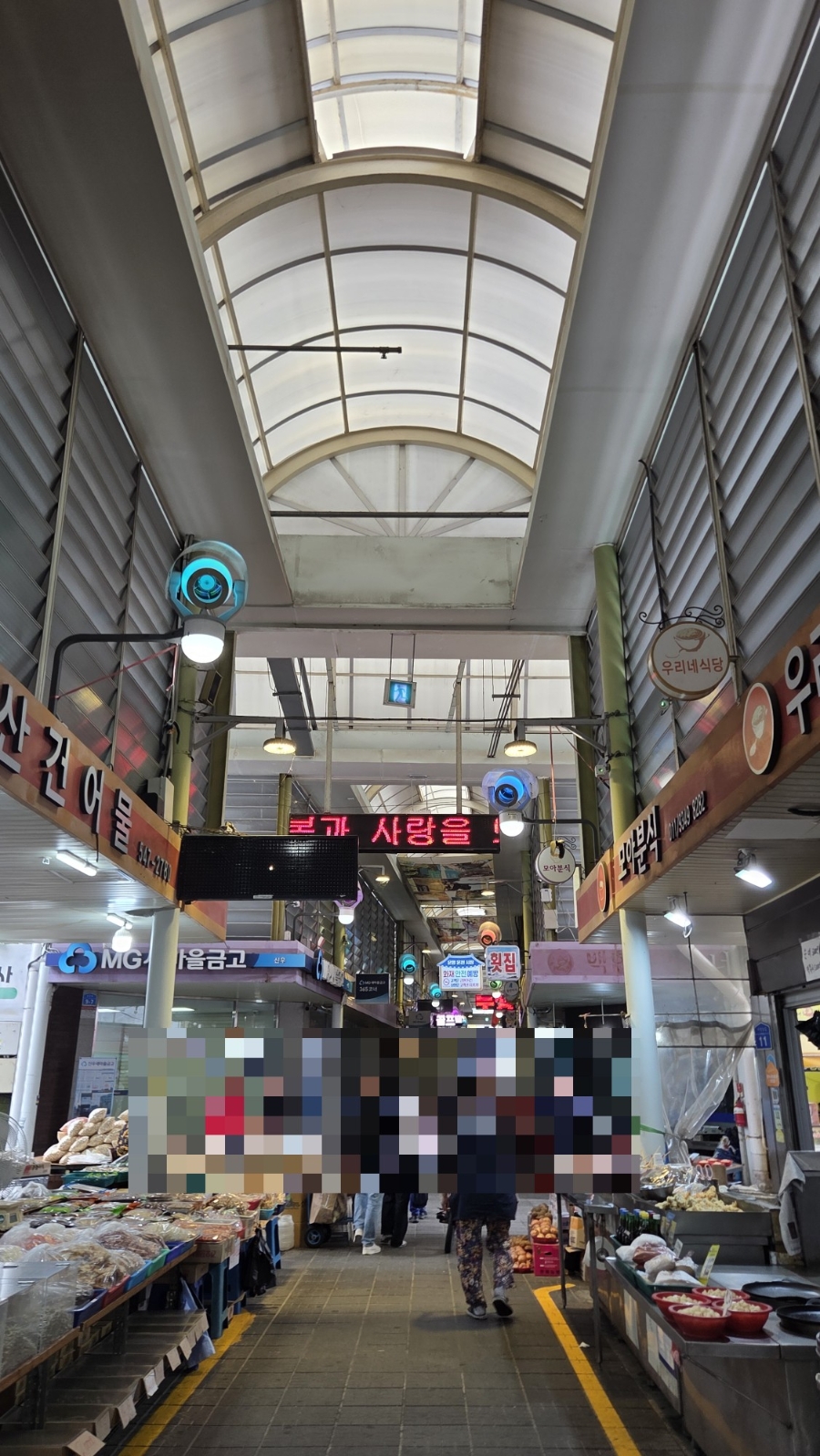 온양장어 사진 1