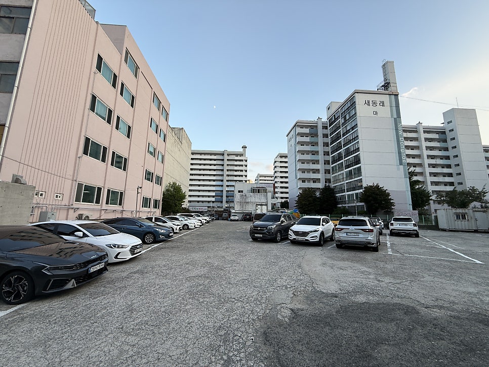 사헌 사진 5
