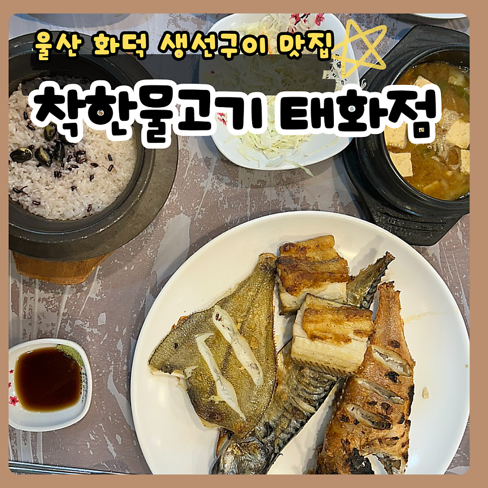 착한물고기 사진 1