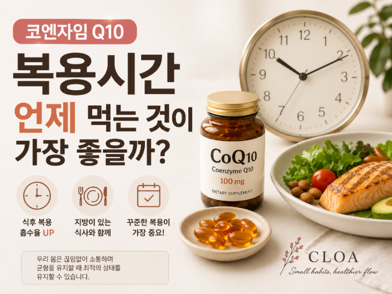코엔자임Q10 복용시간, 아침과 저녁 중 언제 먹는 것이 가장 좋을까?