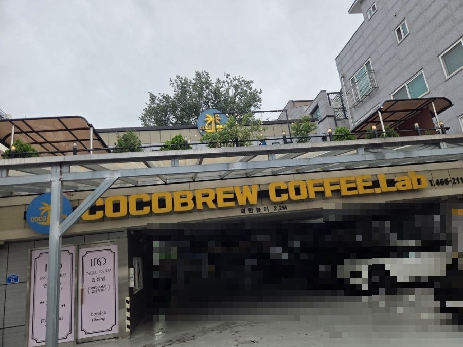 코코브루 사진 5