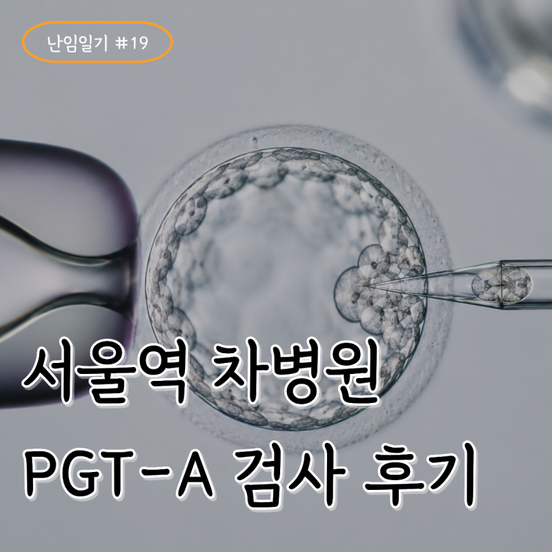 난임일기 #19. 서울역 차병원 PGT-A 검사 비용과 결과, 통배 2개에 모자이시즘 동결 성공 후기