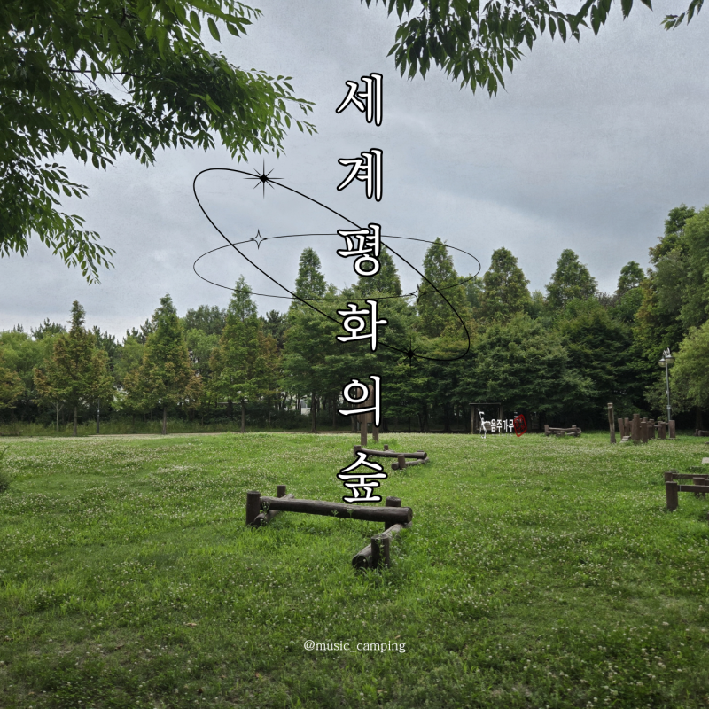 인천 여행 영종도 가볼만한곳 세계 평화의 숲 공원 나들이