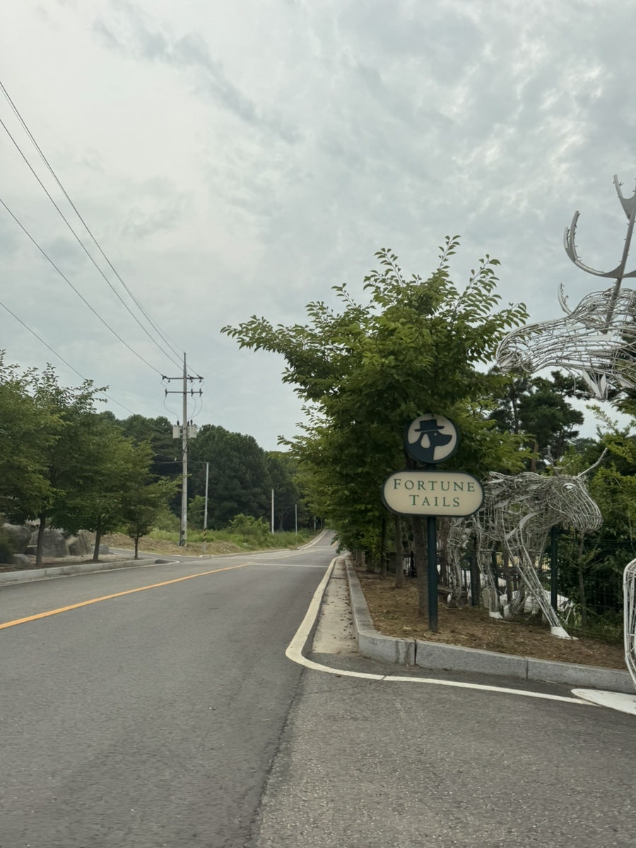 포춘테일 사진 2