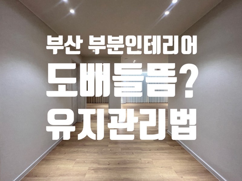 부산 부분인테리어 도배 들뜸하자? 유지관리 방법 알려드려요