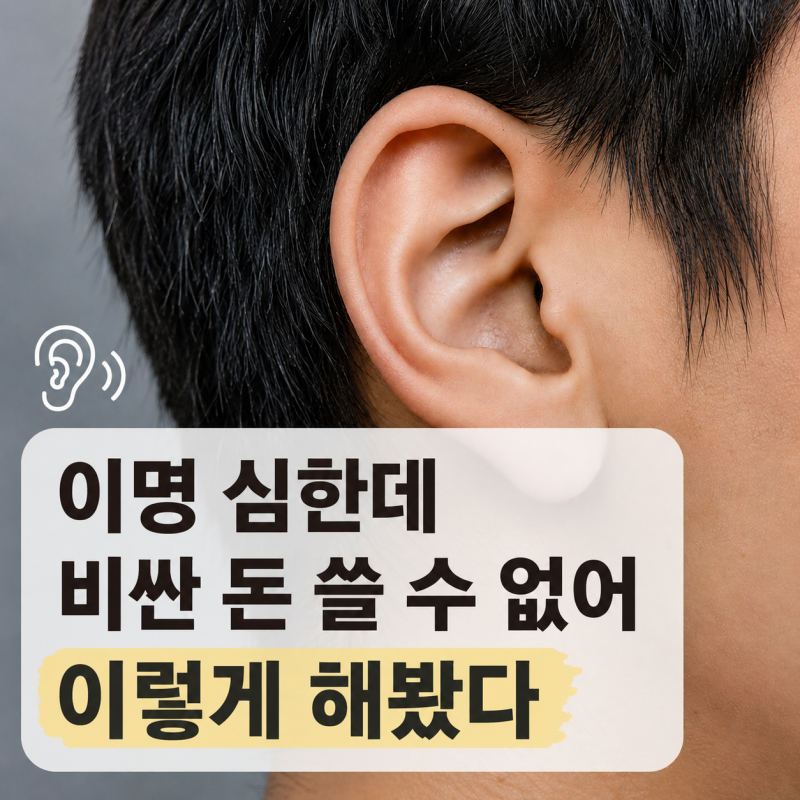 귓속이명 치료 이걸 모르면 결국 큰돈 나가더라구요