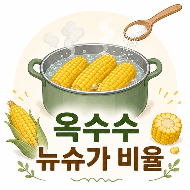 옥수수 뉴슈가 얼마나 넣어야 할까? 실패 없는 황금 비율과 꿀팁