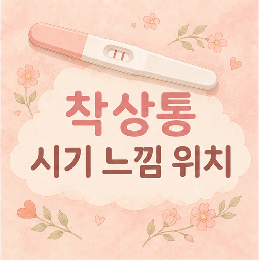 착상통 시기 느낌 실제 주로 느낀 위치 기간 총정리
