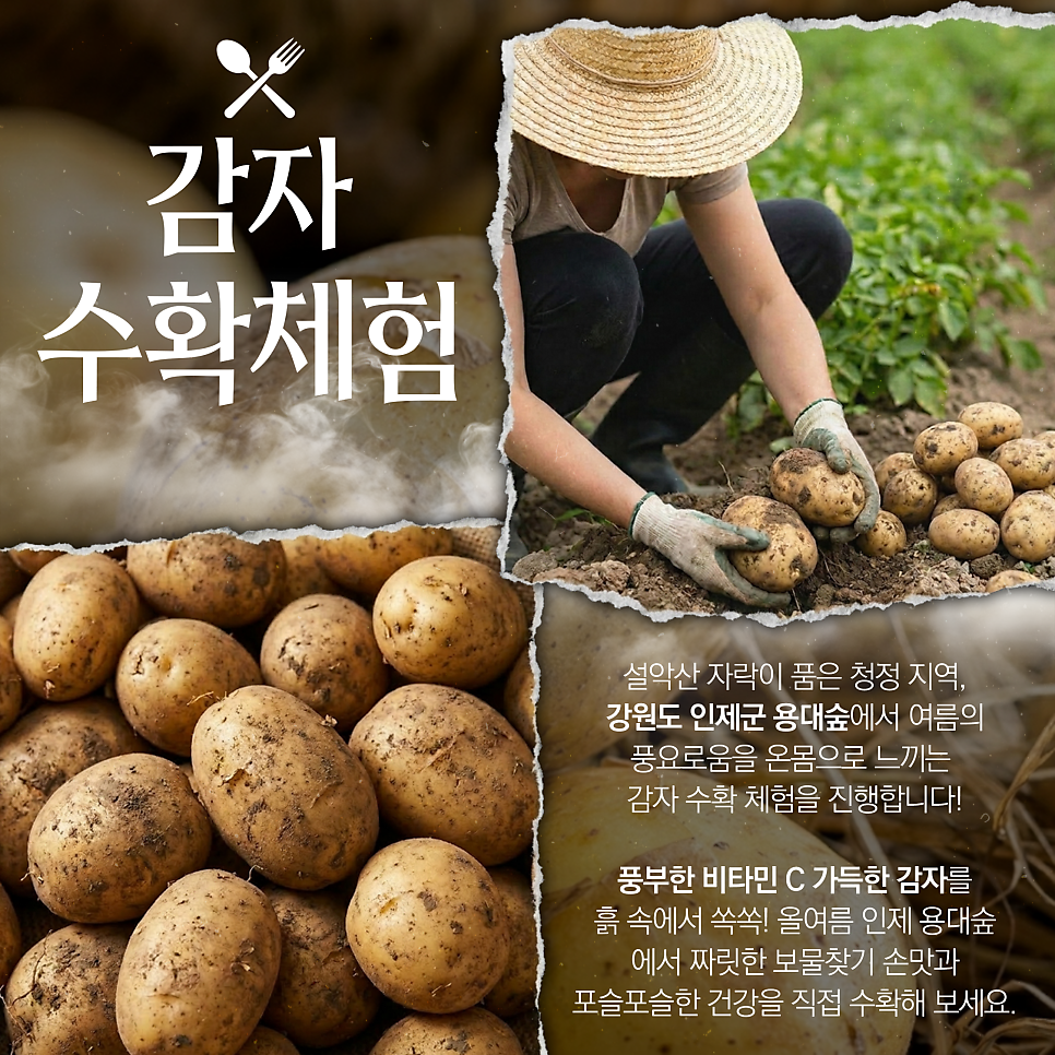 용대숲으로 사진 2